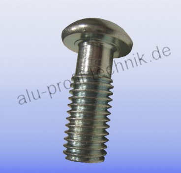 Kernschraube M12x30 Profil 40,45 Nut 10
