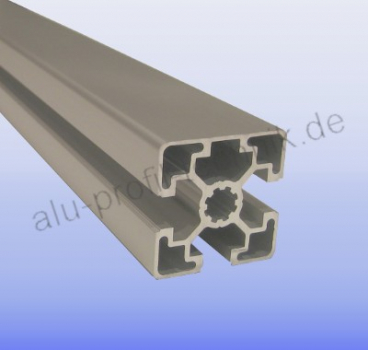 Designprofil 45x45 Nut 10 3N silber im Zuschnitt 80 mm - 5900 mm