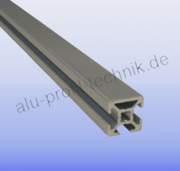 Aluprofil 20 x 20 Nut 6 3N B - Raster Alu silber im Zuschnitt 80 mm - 5900 mm