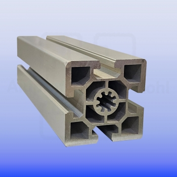 Aluprofil Profil 60 x 60 Nut 10 schwer BP60N10