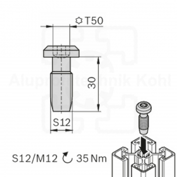 Kernschraube M 12 x 30 selbstschneidend Profil Nut 10 BPN10