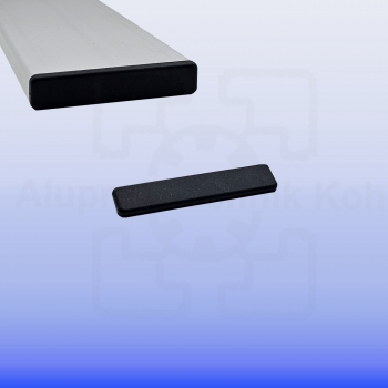 Profilabdeckkappe für Nutplatte 16 x 160 Nut 8 Kunststoff schwarz