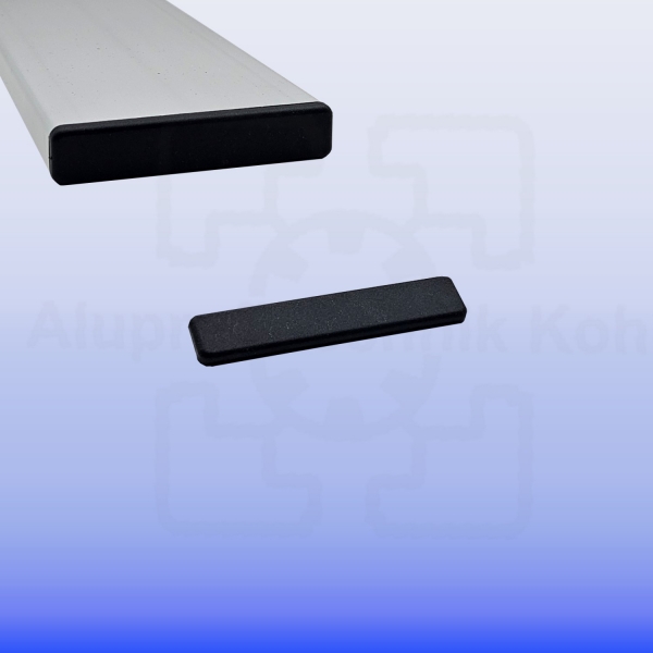 Profilabdeckkappe für Nutplatte 16 x 160 Nut 8 Kunststoff schwarz