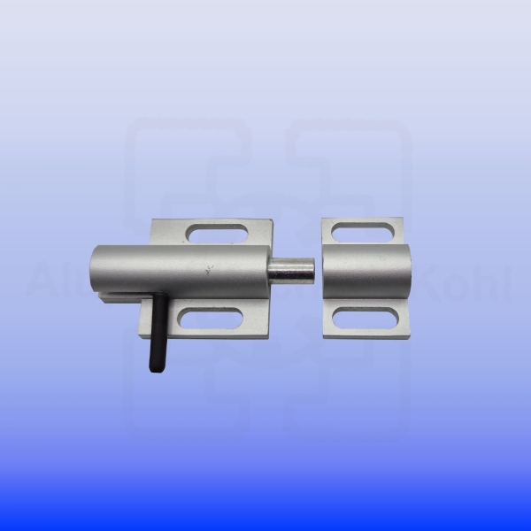 Scharnier_Spaltfrei_P40N10