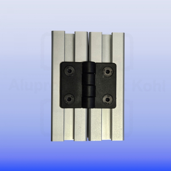 Scharnier_Spaltfrei_P40N10