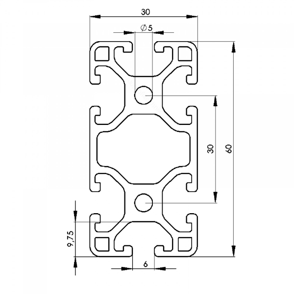 Alu Profil 30 x 60 Nut 6 leicht Alu Profil 30 x 60 Nut 6 leicht